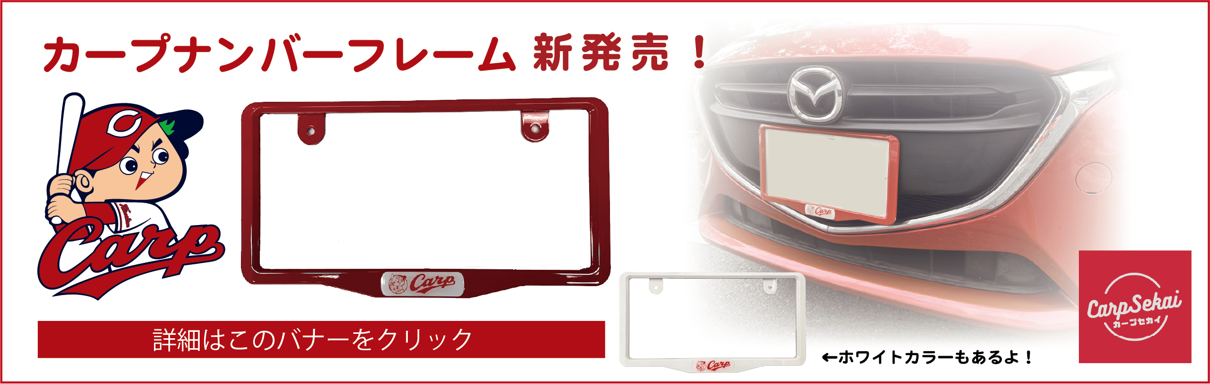 カープナンバーフレーム